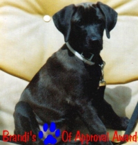 Brandis Paw of Approval  Award