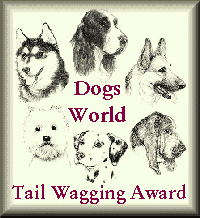Dogs World Tail Wagging Award