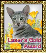 Lasers Gold Award