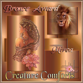 Mirca's Bronze Award