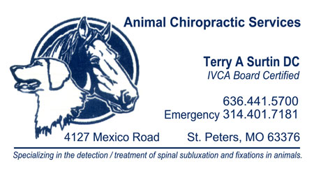 Animal Chiropractic