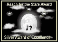 Reach for the Stars Silver Award