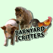 Barnyard Critters